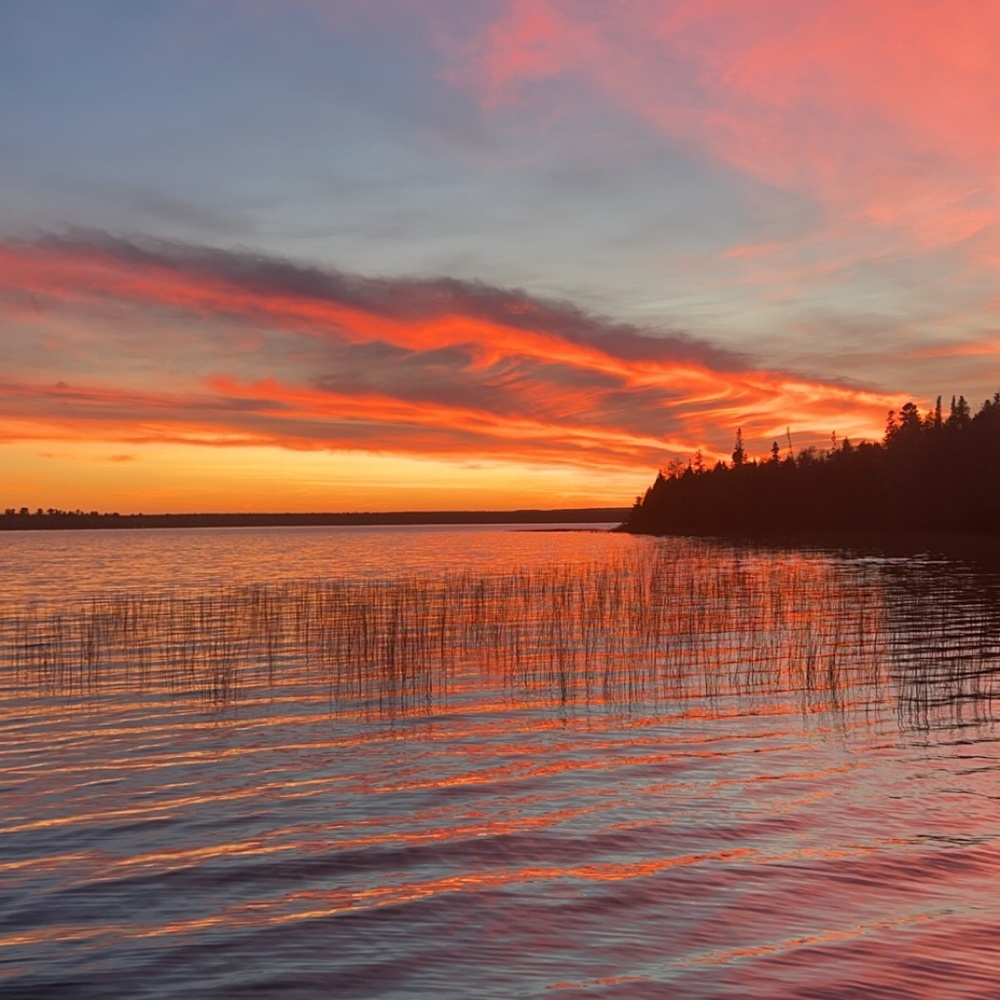 Meet your Posher, Sydnie